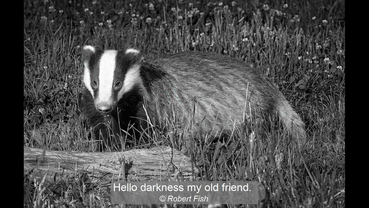 Hello darkness my old friend.